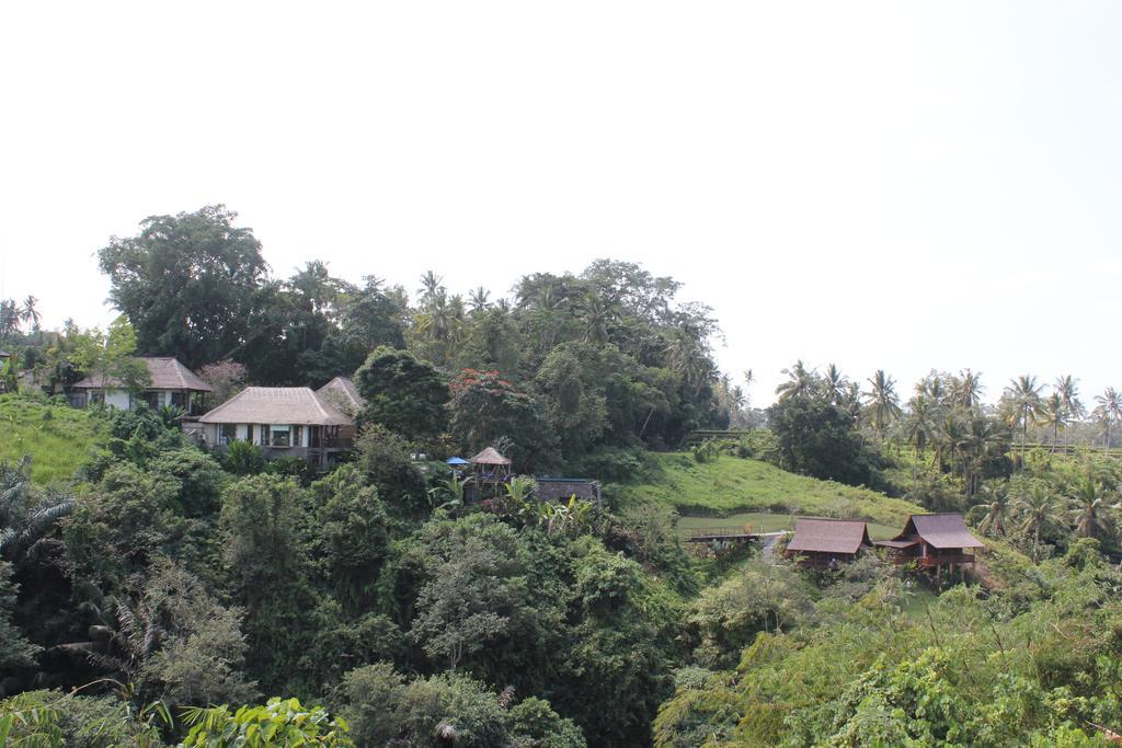 Amori Villas Ubud  Exterior photo